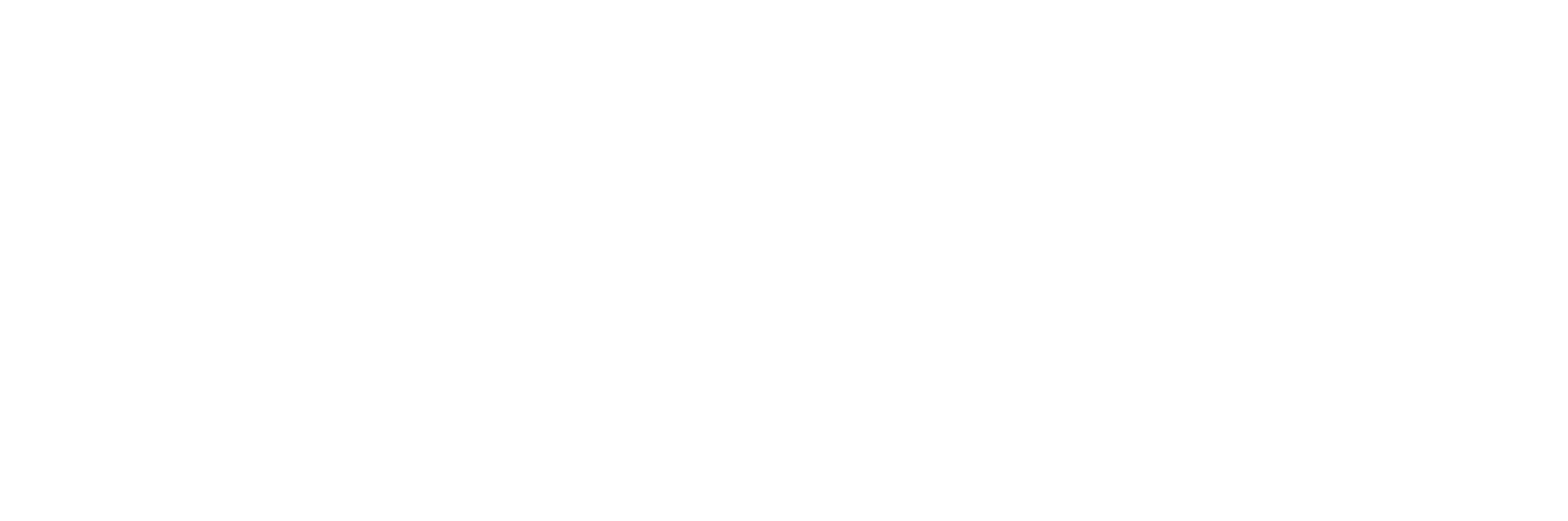Fundo Puyehue