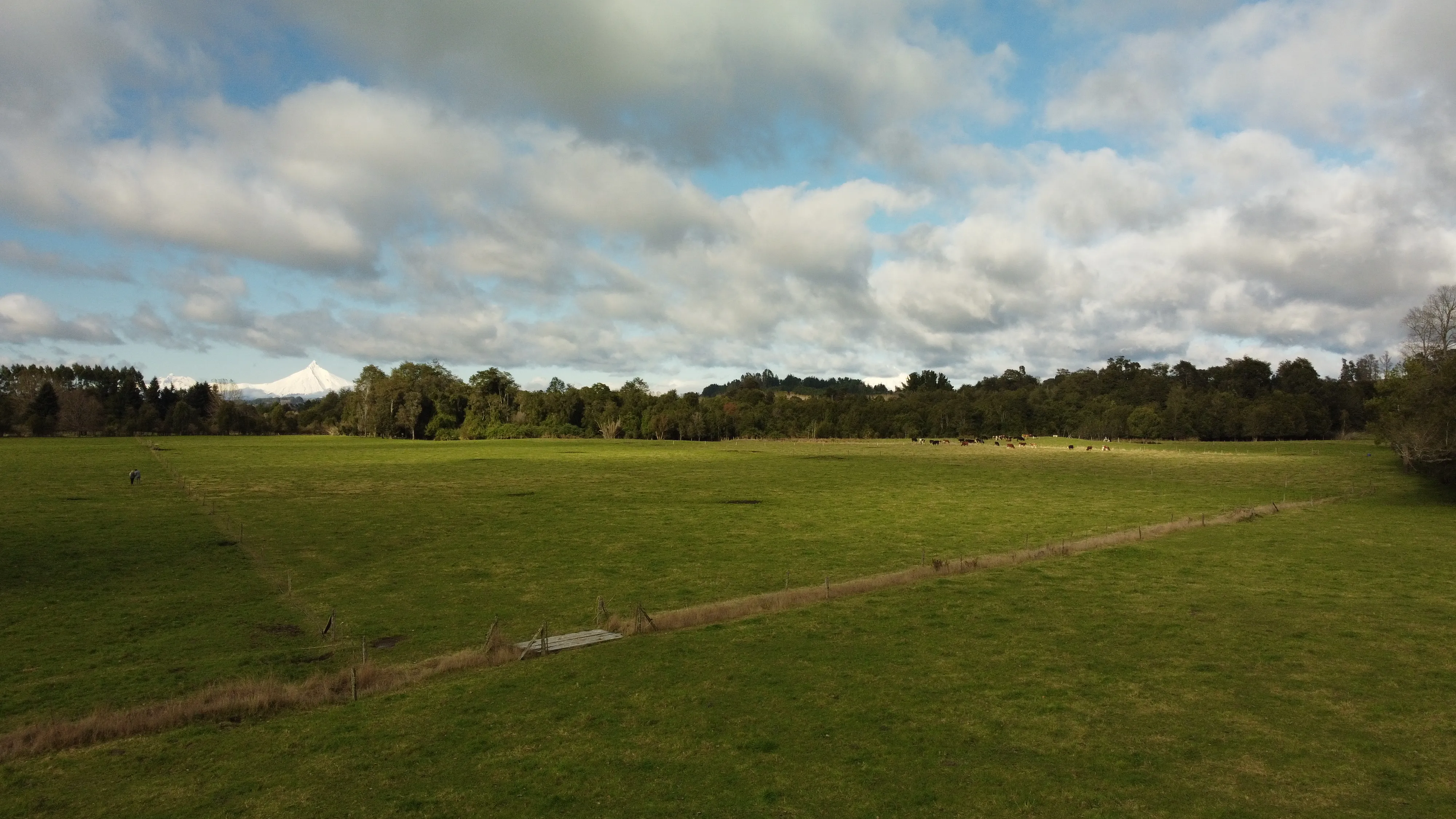 Fundo Puyehue vista aérea 1