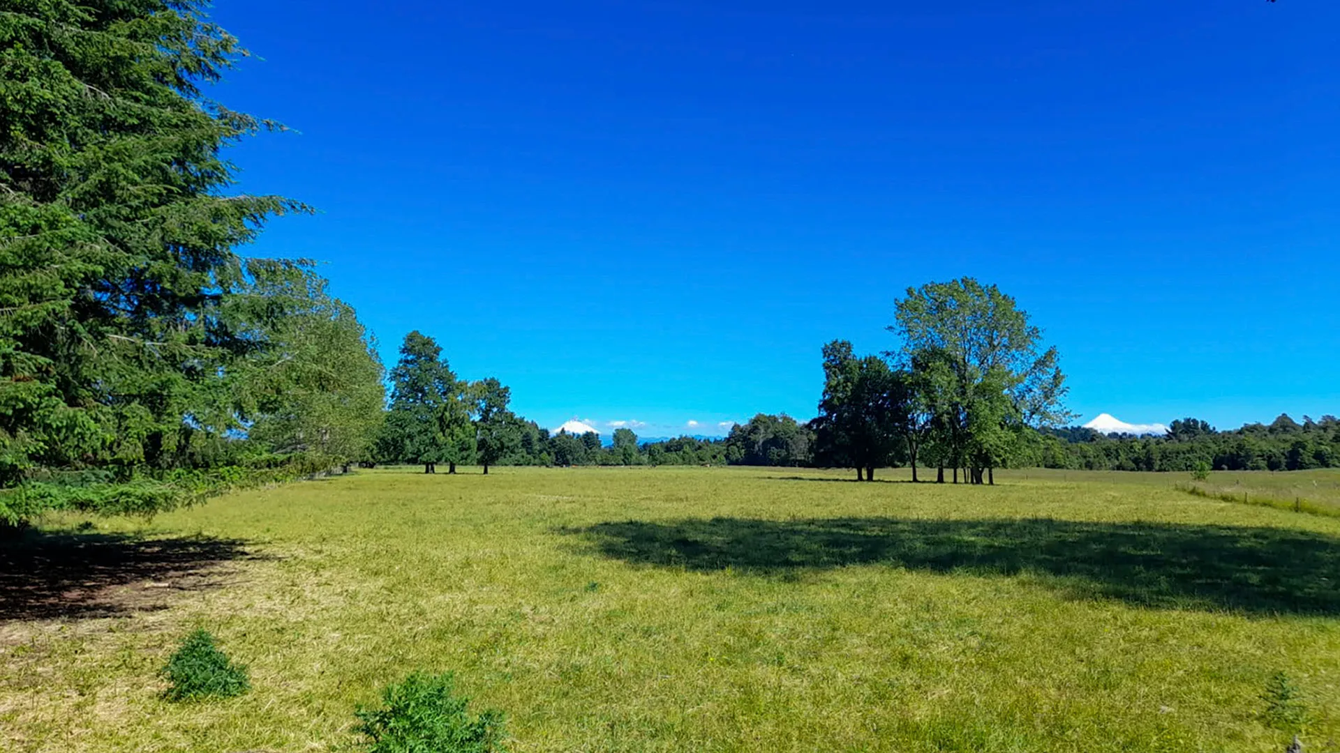 Fundo Puyehue vista aérea 6