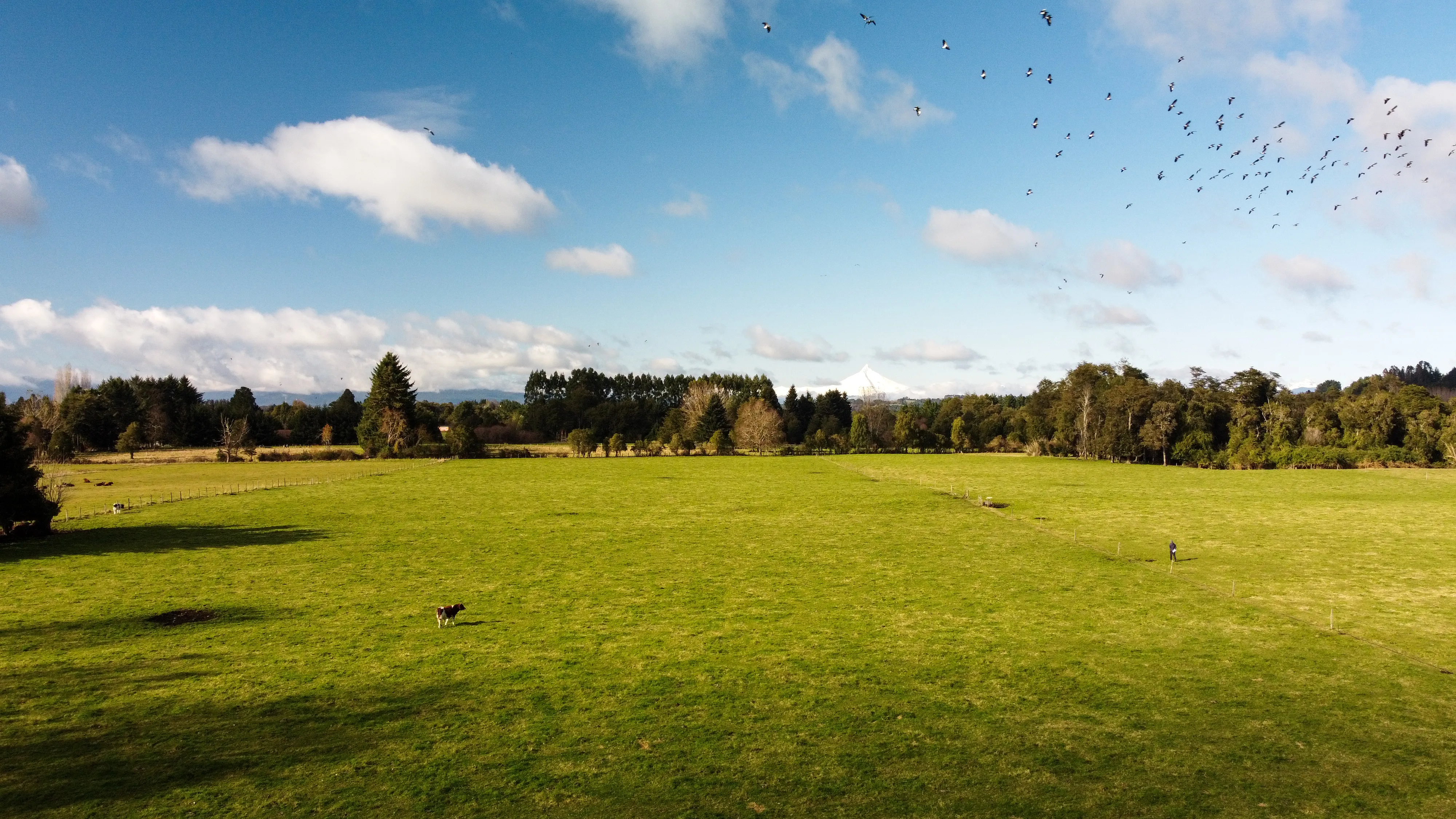 fundo puyehue vista aerea 12