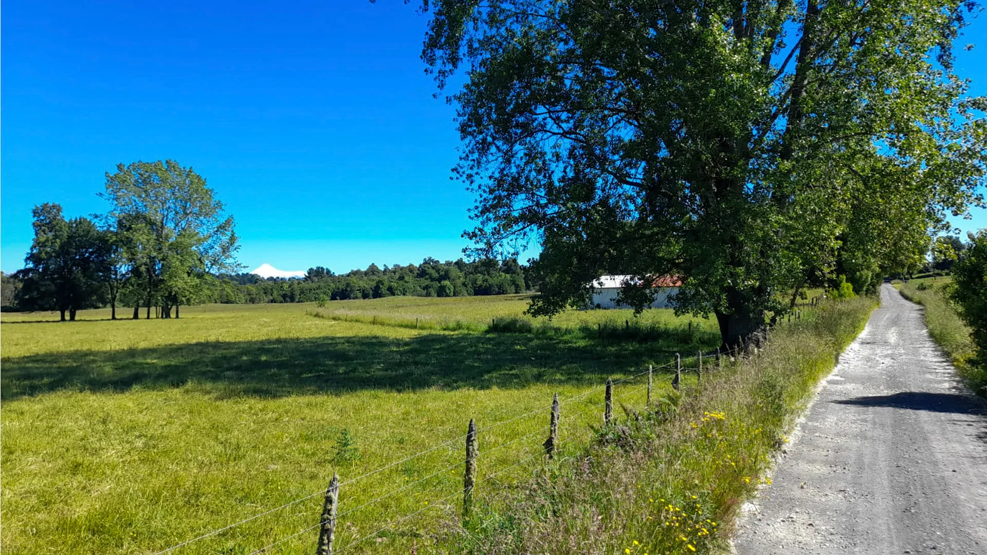 fundo puyehue vista aerea 8