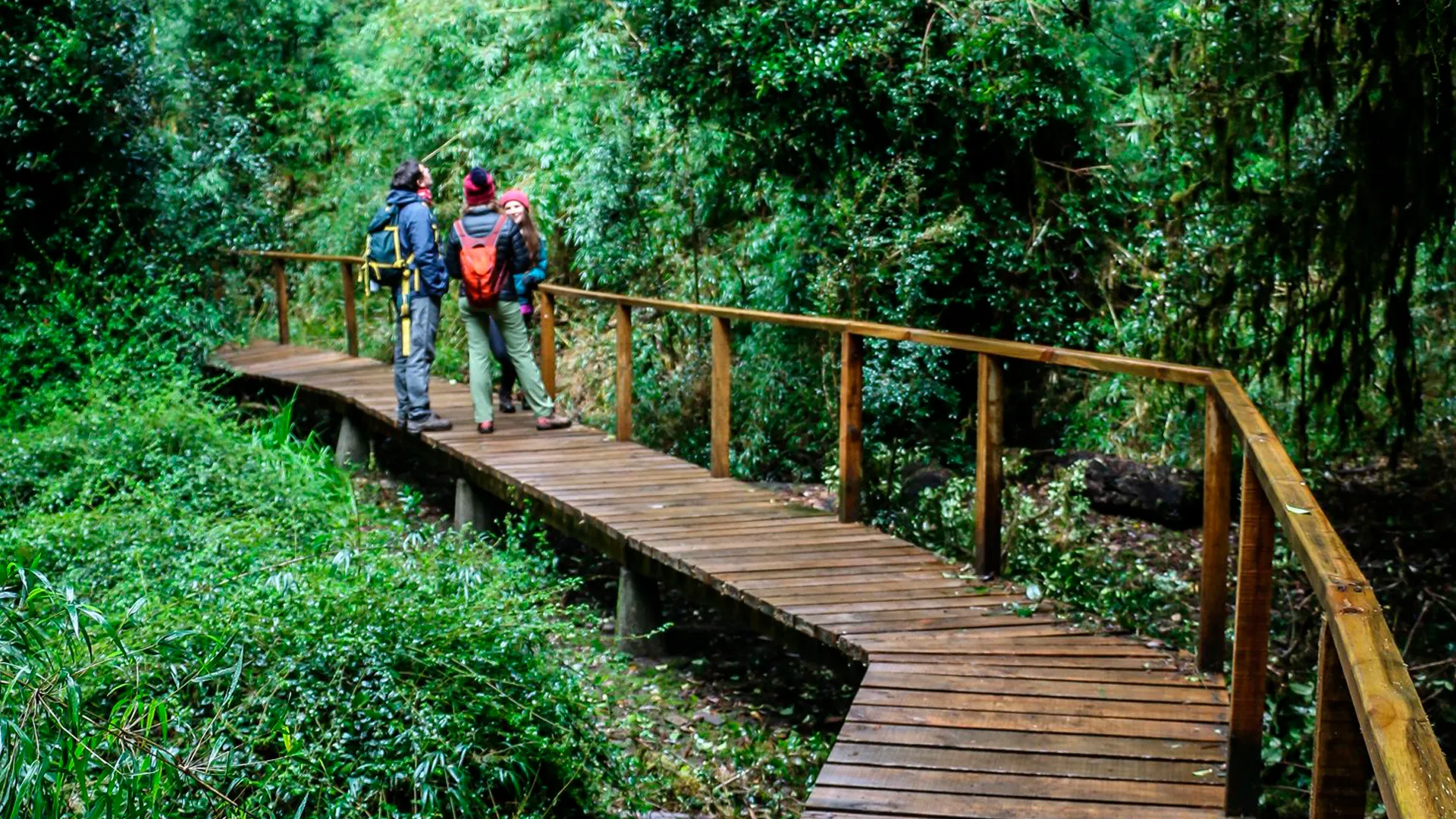 Parque Nacional Puyehue